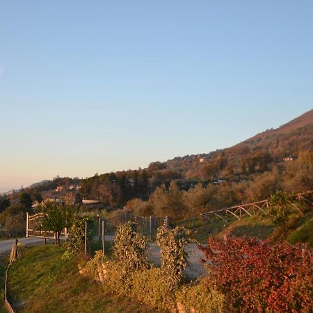 Locazione Turistica Villa Delle Rose Assisi Buitenkant foto