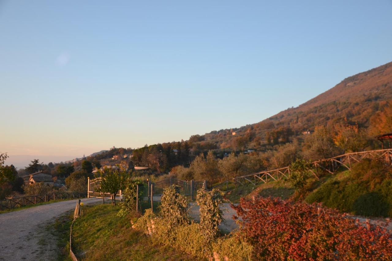 Locazione Turistica Villa Delle Rose Assisi Buitenkant foto