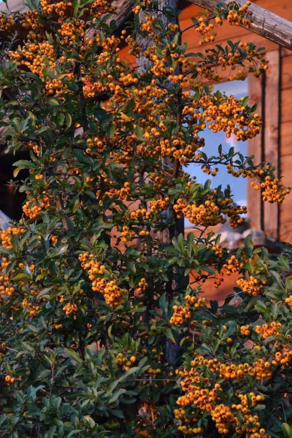 Locazione Turistica Villa Delle Rose Assisi Buitenkant foto